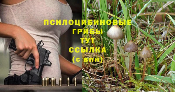 бутират Покачи